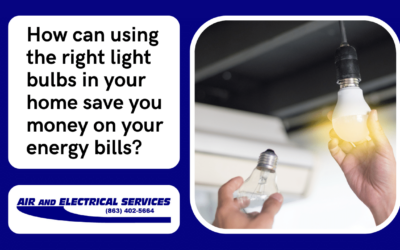 How can using the right light bulbs in your home save you money on your energy bills?